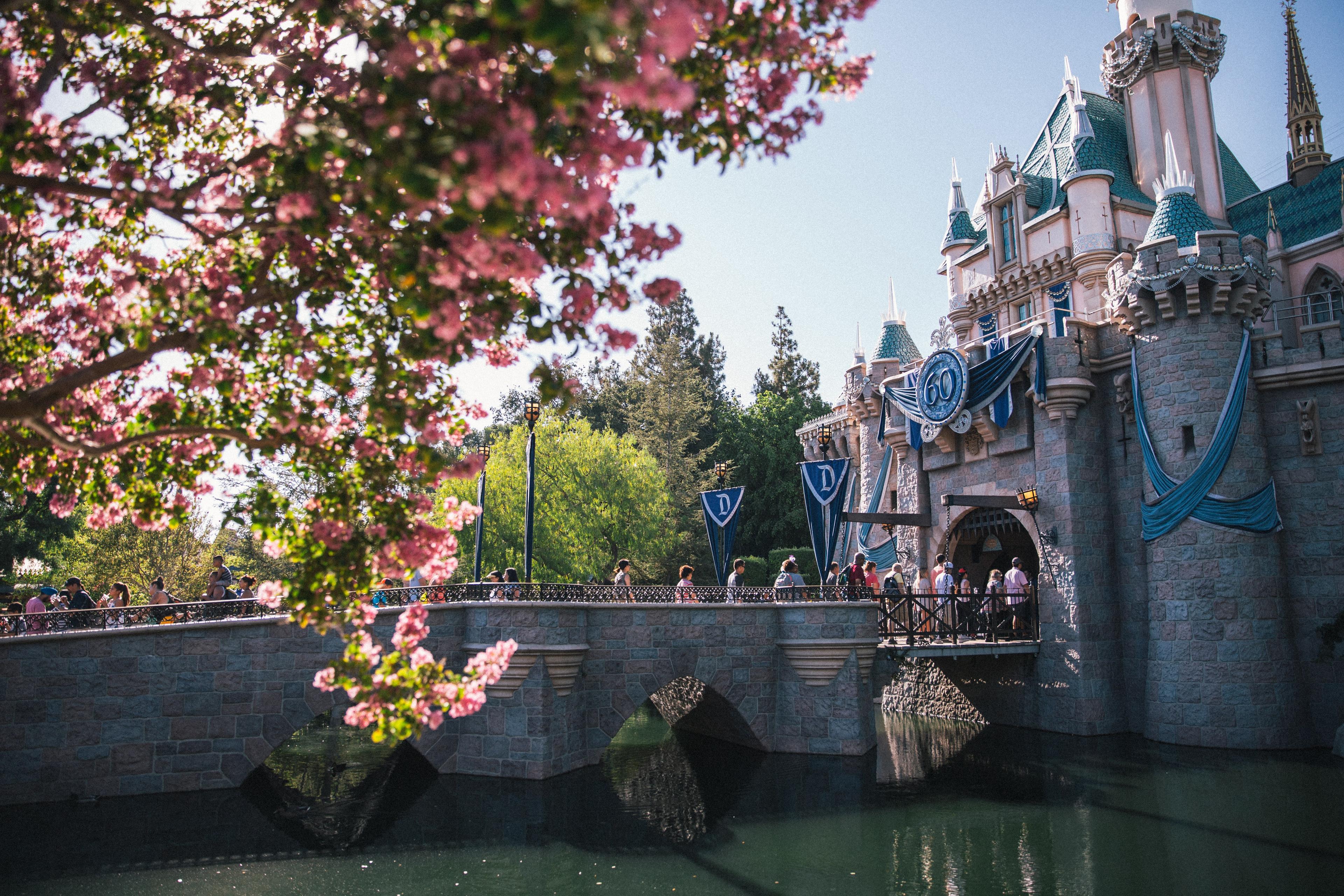 People walking into the Disneyland Castle.